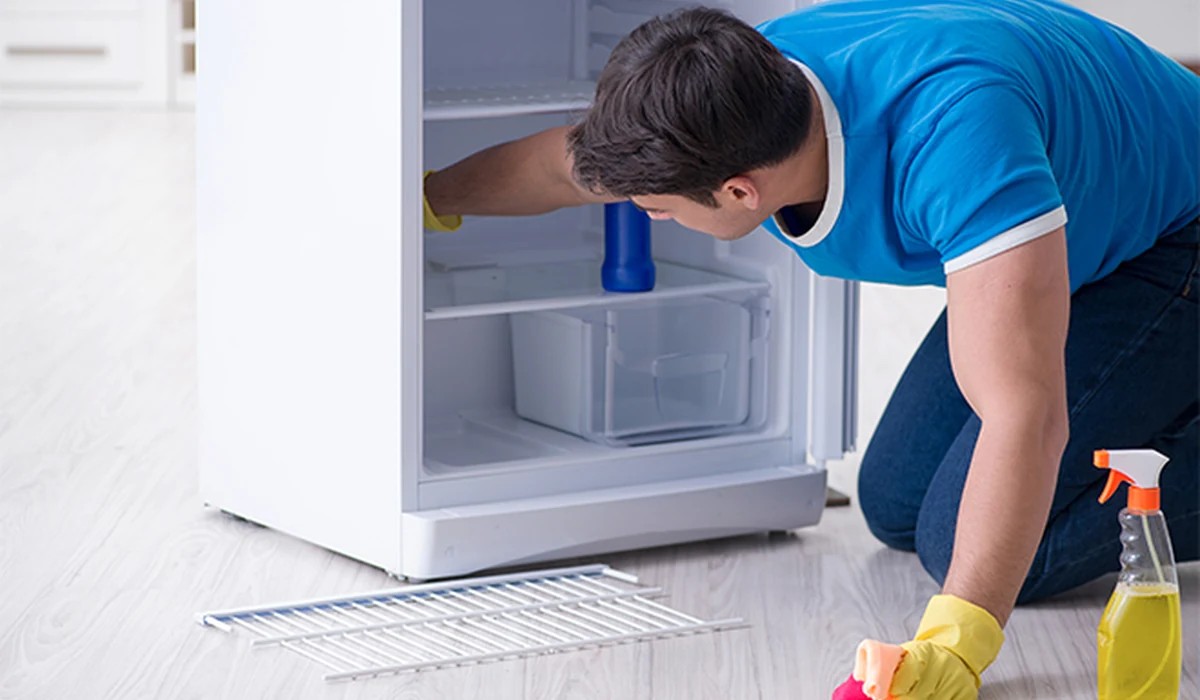 General Fridge Service & Maintenance in Chennai