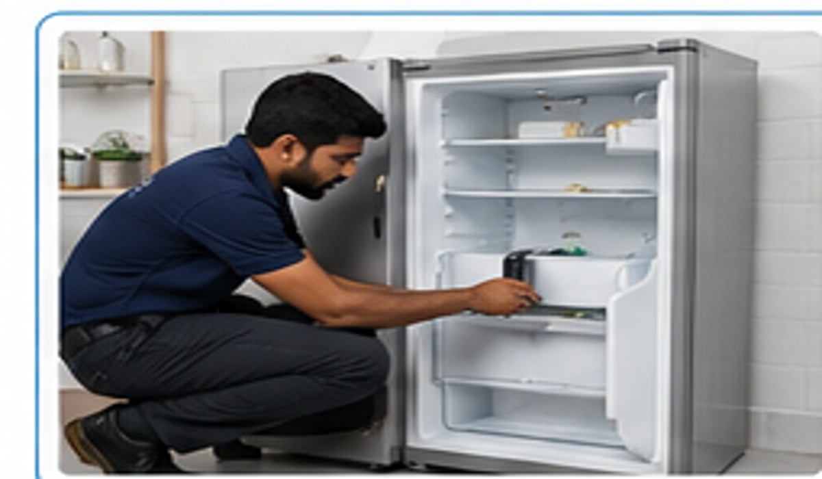 Washing Machine Not Spinning in Chennai